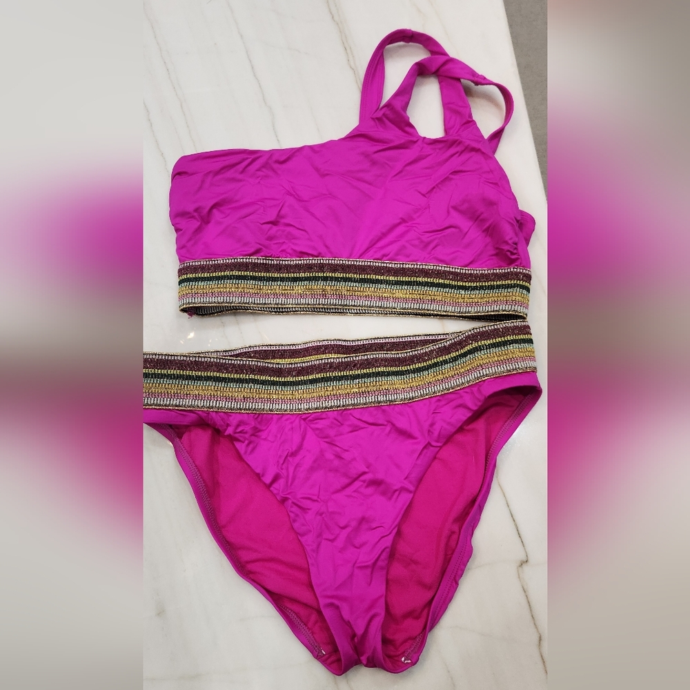 Gibson Latimer Vibrant Fusia Bikini with Striped Band